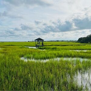 Mine Green and Blue Marshland Photography